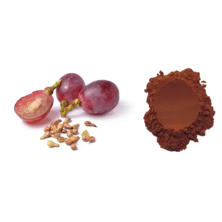 Organic Grape Seed Extract Powder - Premium Quality Supplier Organic Grape Seed Extract Powder - Premium Quality Supplier