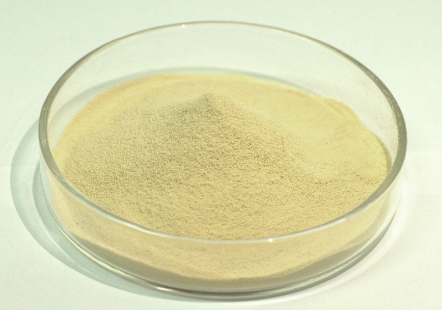Core Bioactive Functions Core Bioactive Functions
